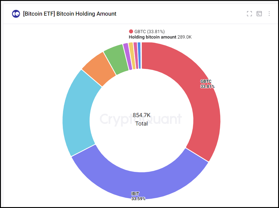 btc holdings